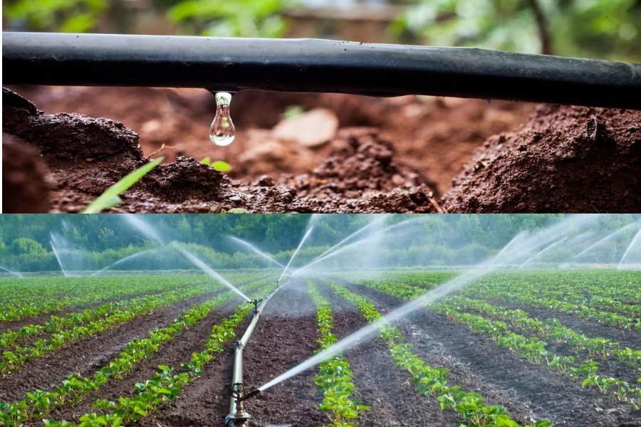 Top 5 des meilleurs systèmes d'irrigation goutte-à-goutte en 2026